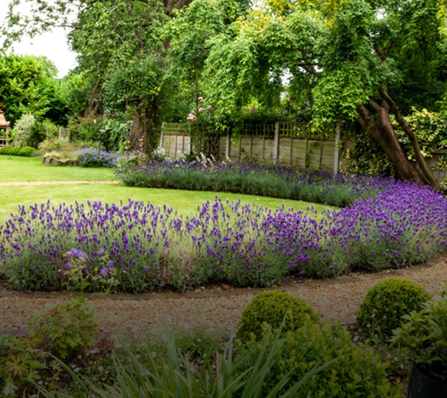 Garden Transformation - Northfield - gardenplan design